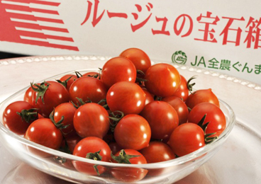 【豊洲市場うまいもん】群馬県産高糖度ミニトマト