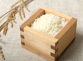 【豊洲市場うまいもん】熊本県産の白米
